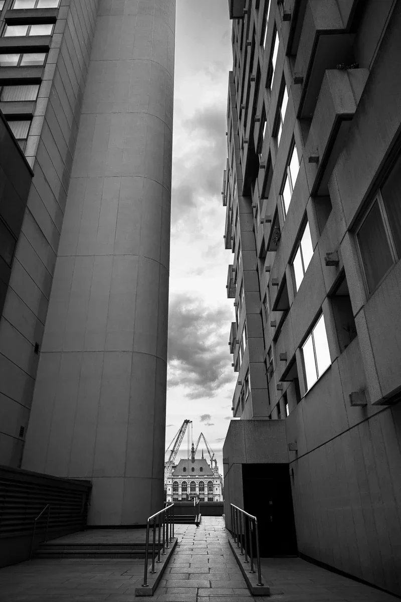 Paris Between Lines