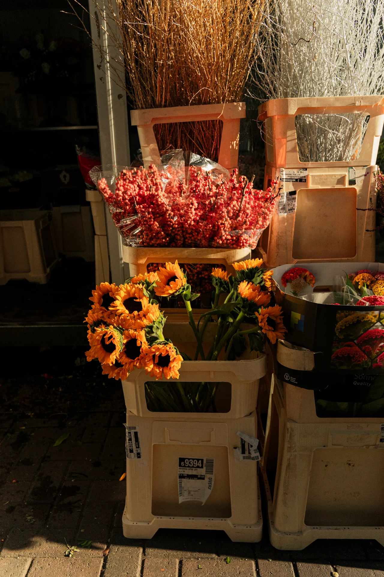 Flowers in crates outside the florist at dusk